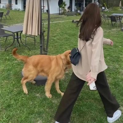 蜂蜜与四叶草